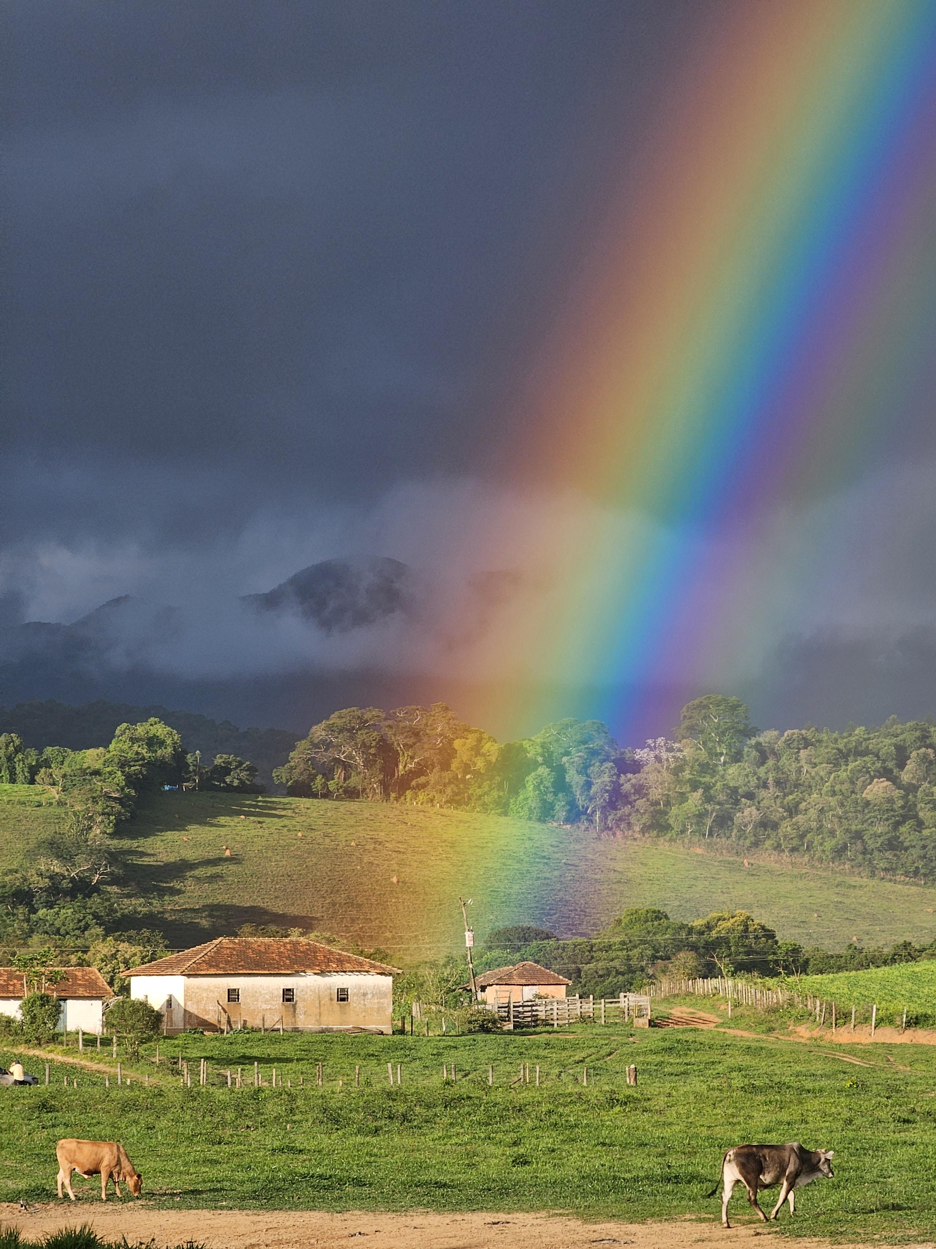 Vivid Rainbow in Countryside